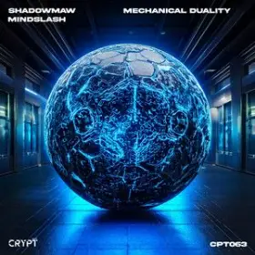 Mechanical Duality cover