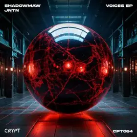 Voices cover