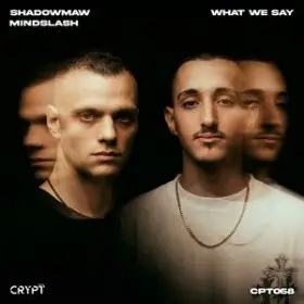 What We Say (Radio-Edit) cover